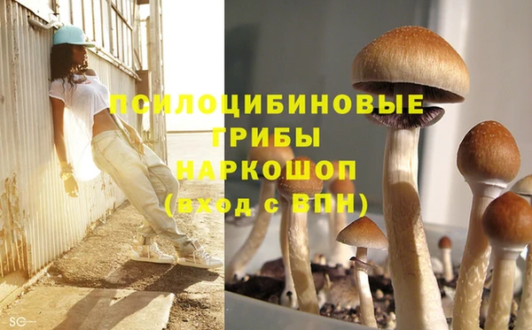 прущая мука Алексин