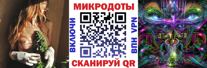 Галлюциногенные грибы Psilocybe Удачный