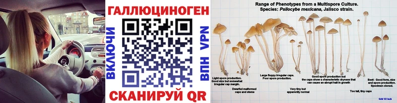 Псилоцибиновые грибы Cubensis  блэк спрут маркетплейс  Удачный 